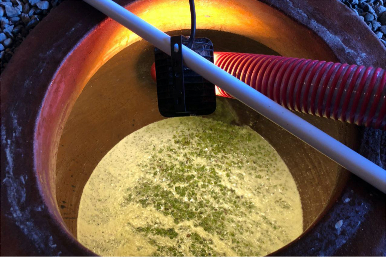 Fermentation process in a qvevri at Baias Wines