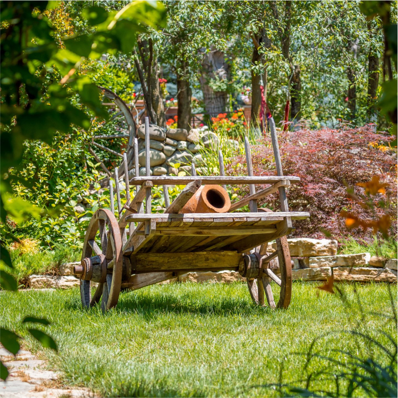 Old wooden cart in a lush garden at Giuaani winery"