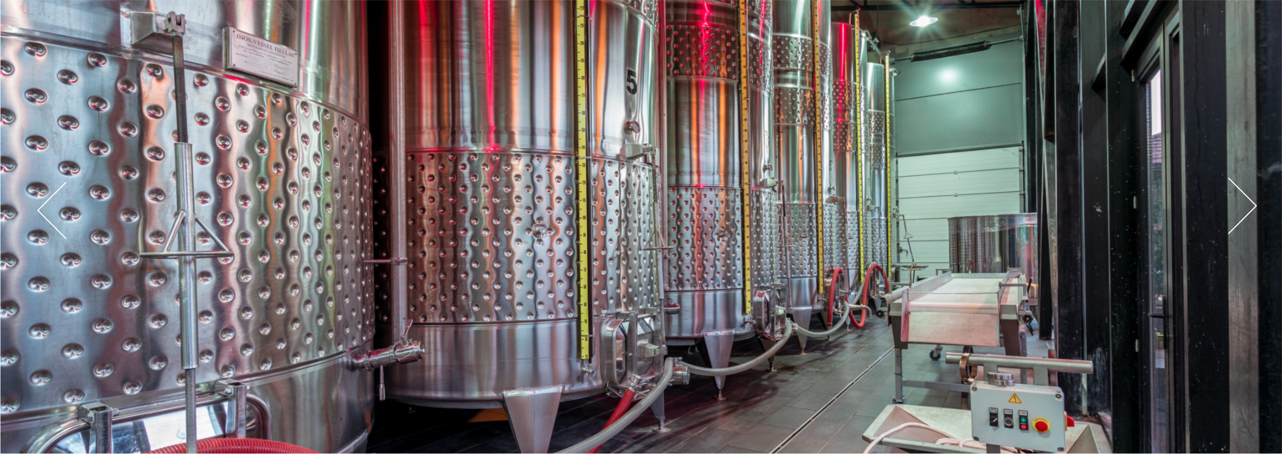 Stainless steel wine fermentation tanks at Giuaani winery