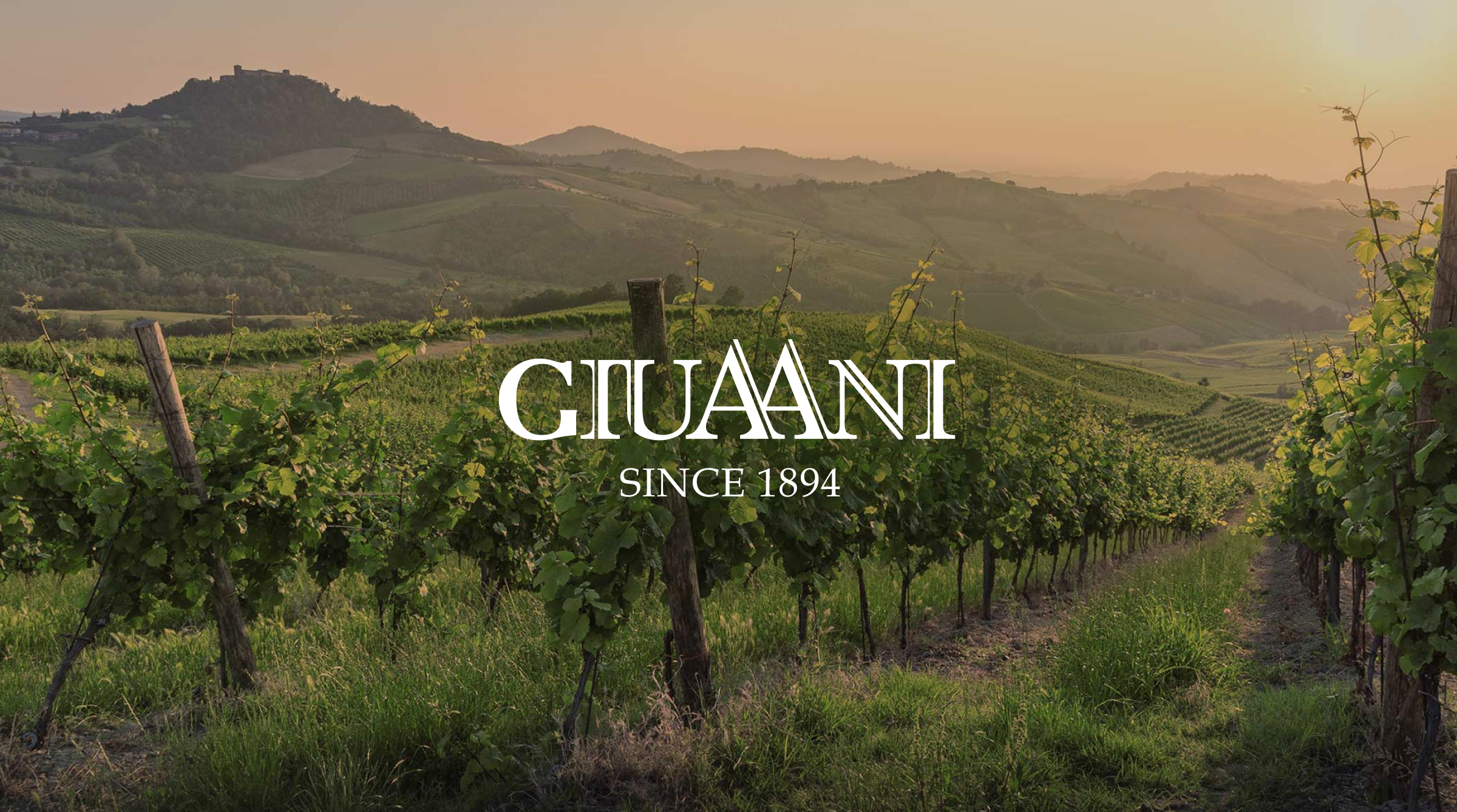 Giuaani Winery logo with vineyard background, established in 1894