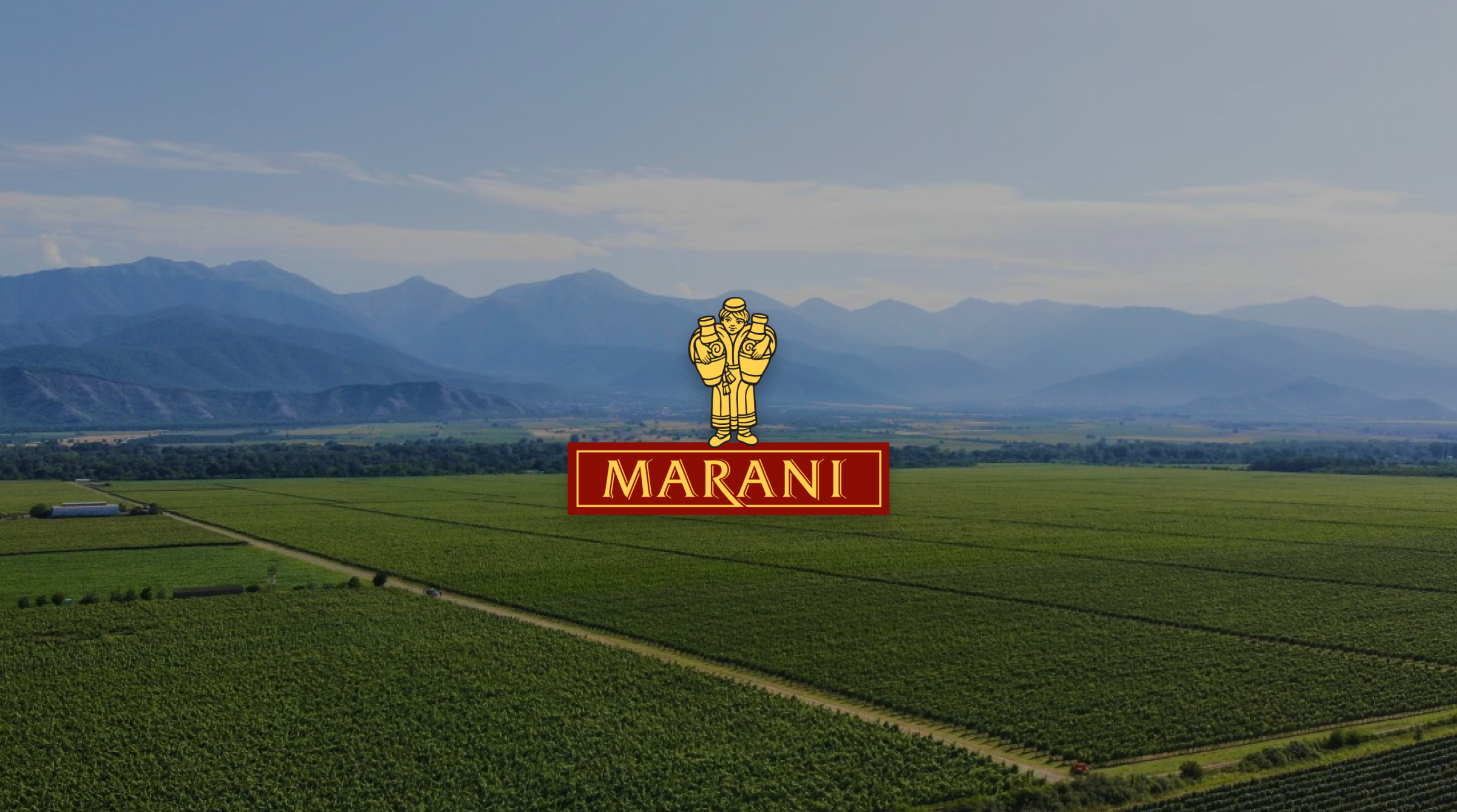 Marani Winery logo with vineyard and mountain background