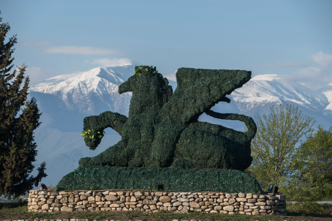 Topiary sculpture of a dragon at Shumi Winery with snow-capped mountains in the background