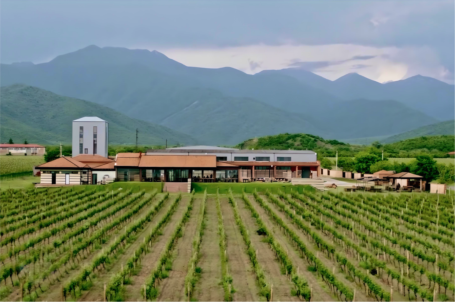 Shilda Winery vineyard with mountains in the background