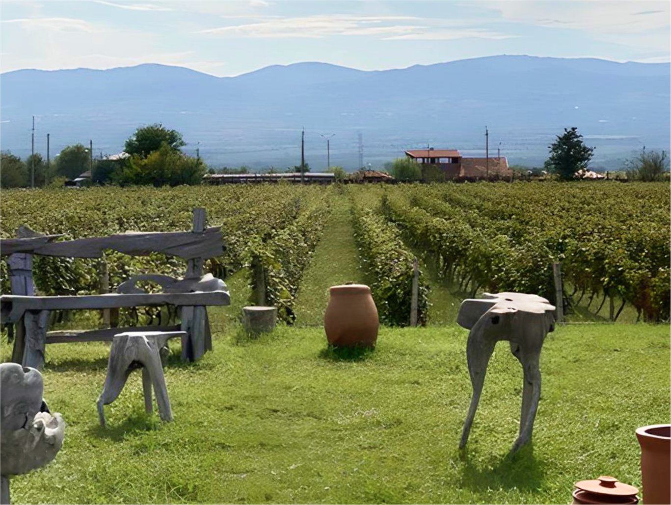 Shilda Winery vineyard with view of the mountains and traditional clay wine vessel in the foreground