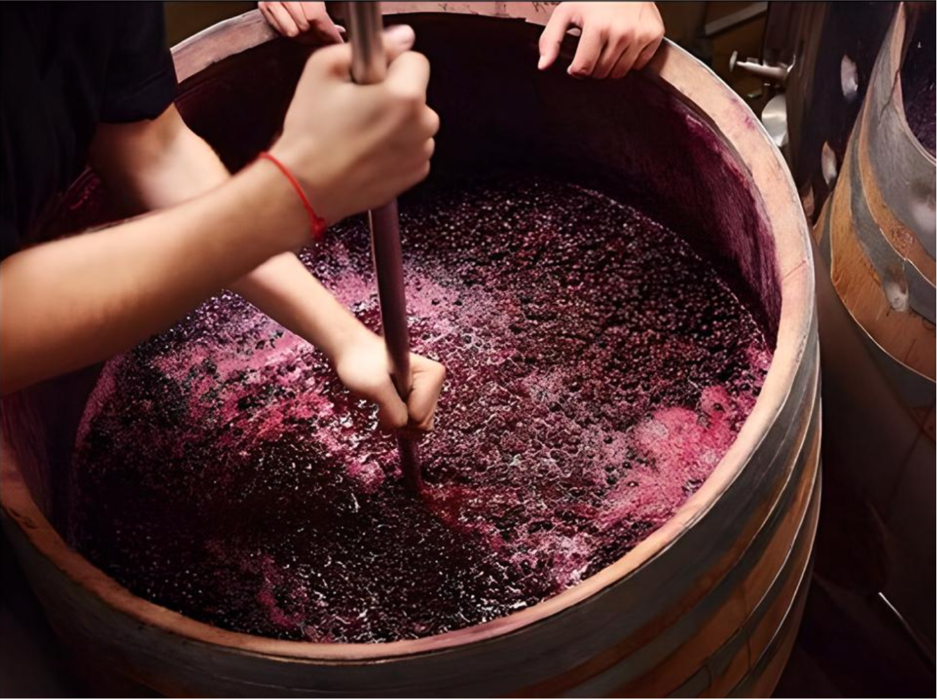 Fermentation process at Shilda Winery