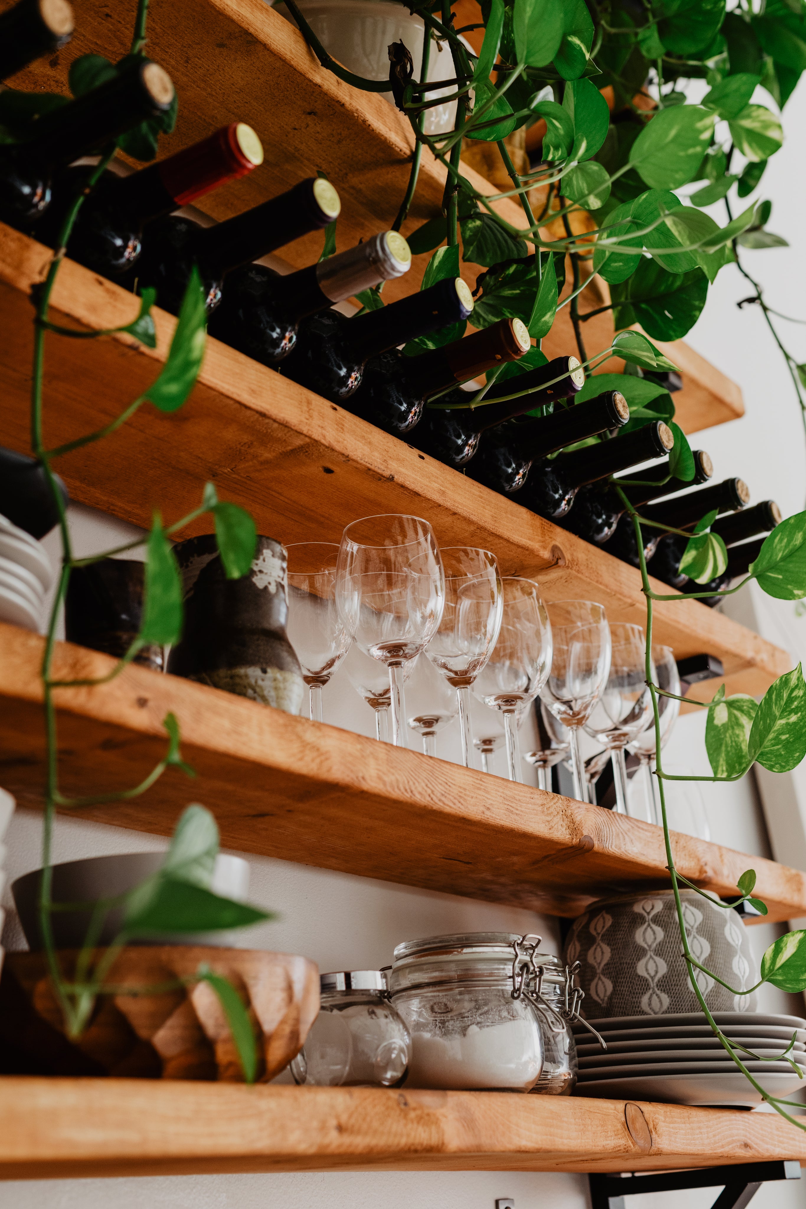 Wooden shelves with wine bottles, wine glasses, and green plants